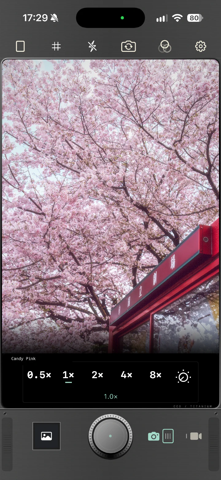 Digital Color: cherry blossoms in Candy Pink on the camera screen
