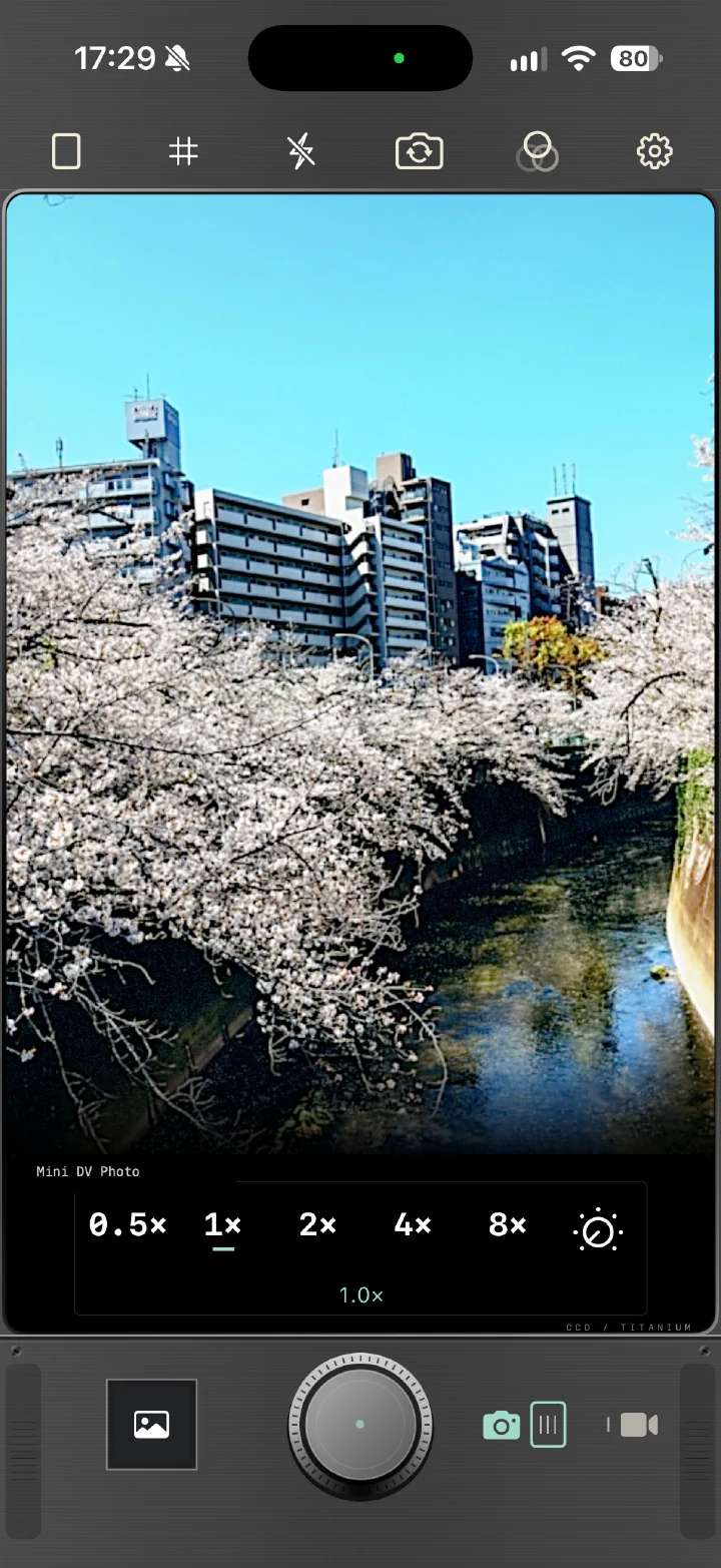 Digital Diary: a cherry-blossom river in Mini DV Photo on the camera screen
