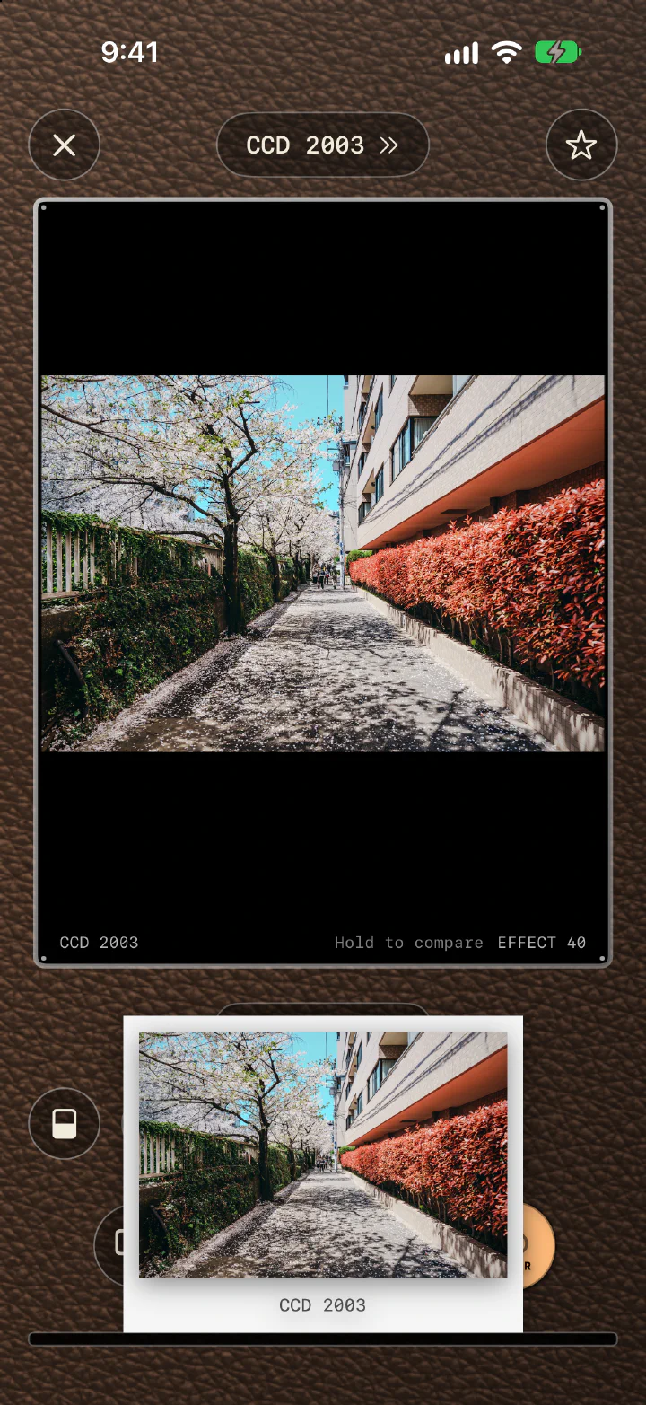 RilaCam Printer screen: a CCD 2003 photo preview with a printed copy in a white frame